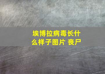 埃博拉病毒长什么样子图片 丧尸